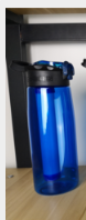 Purewell Water Bottle